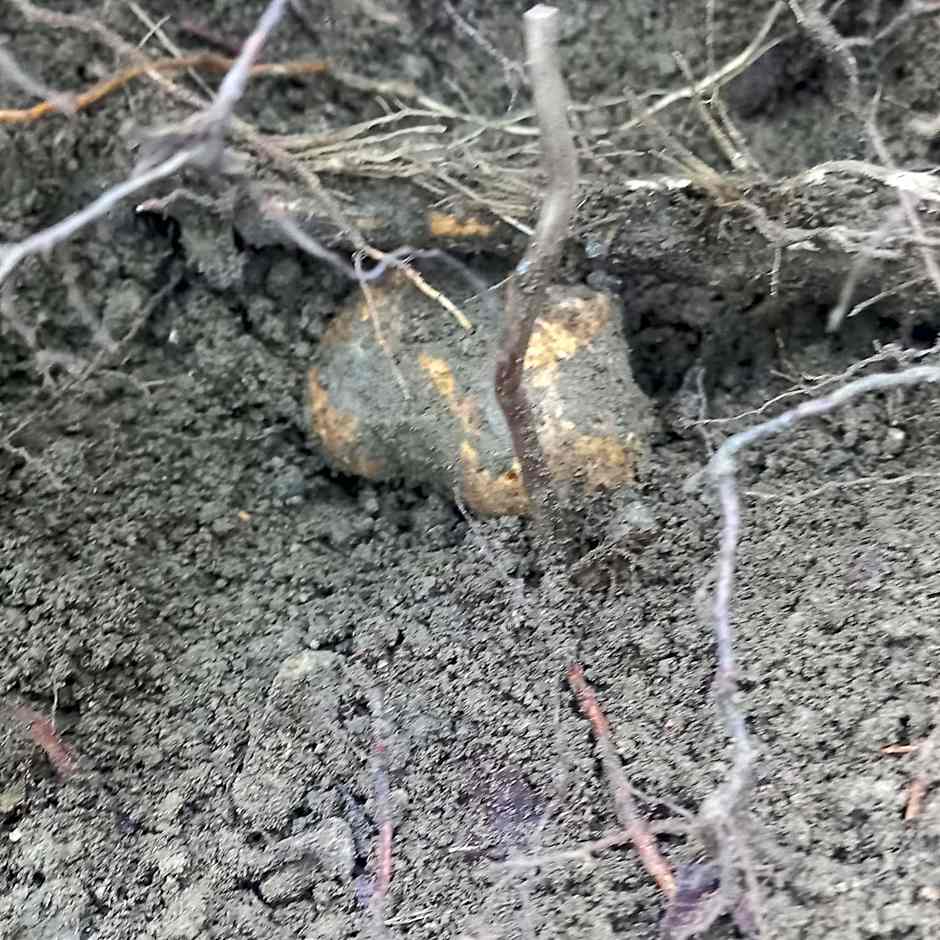 1929 Wine Food Relax Agriturismo