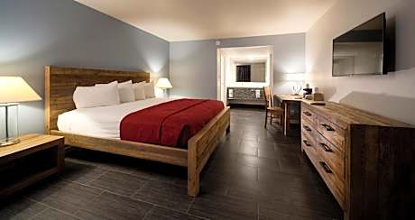 Single King room accessible