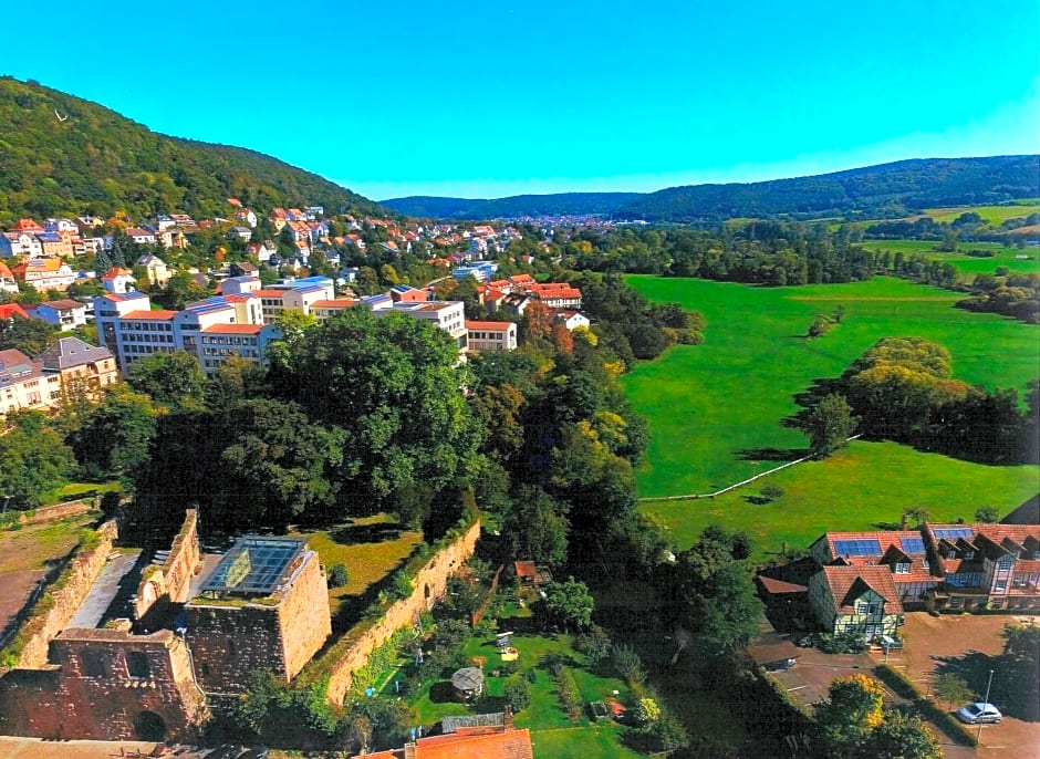 Hotel Burg-Mühle