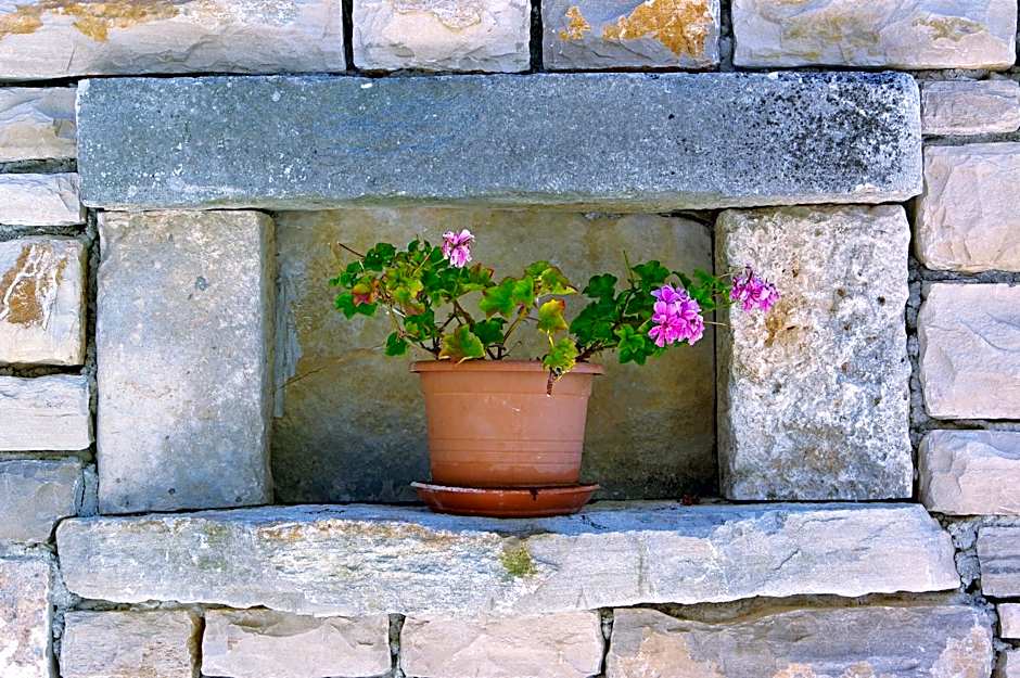 Boutique Hotel Villa Telenta