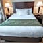Comfort Suites University Area Notre Dame-South Bend