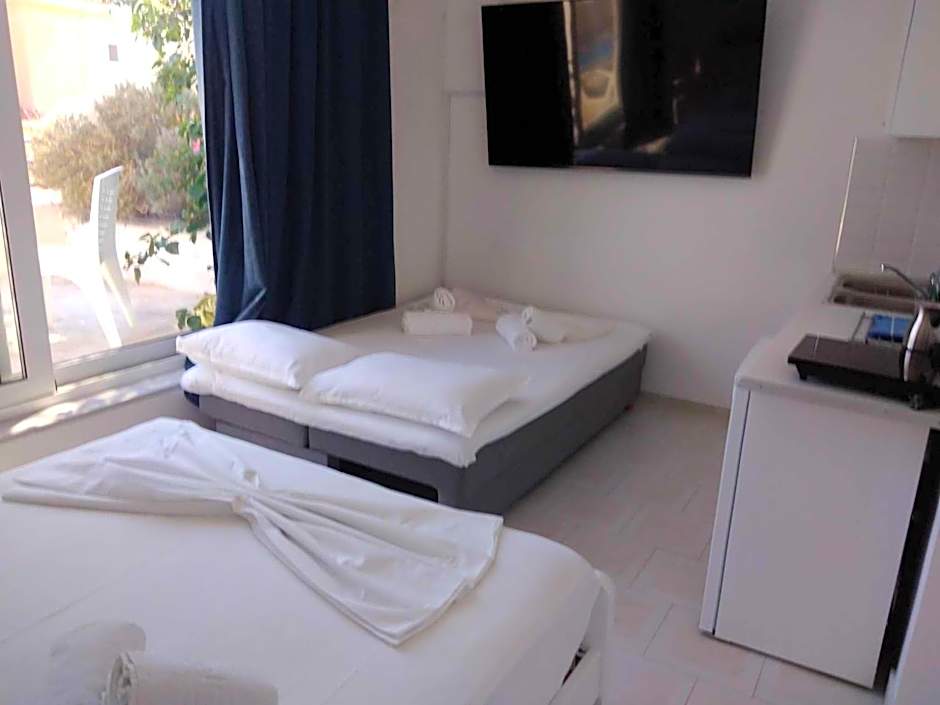 Blue Dolphin Studios and Apartment