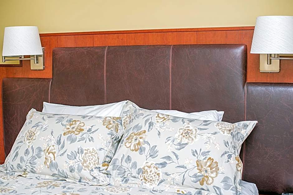 Photo 1 of 7 of Premier 1 Queen Bed