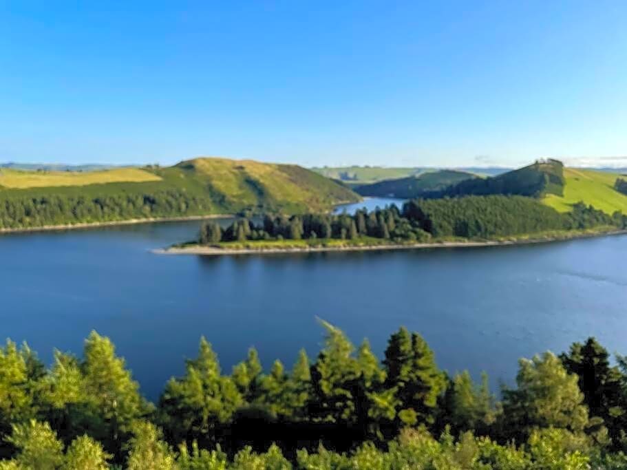 Y Felin Bed and Breakfast and Smallholding