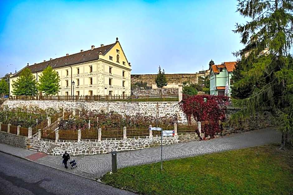 Aparthotel Faust