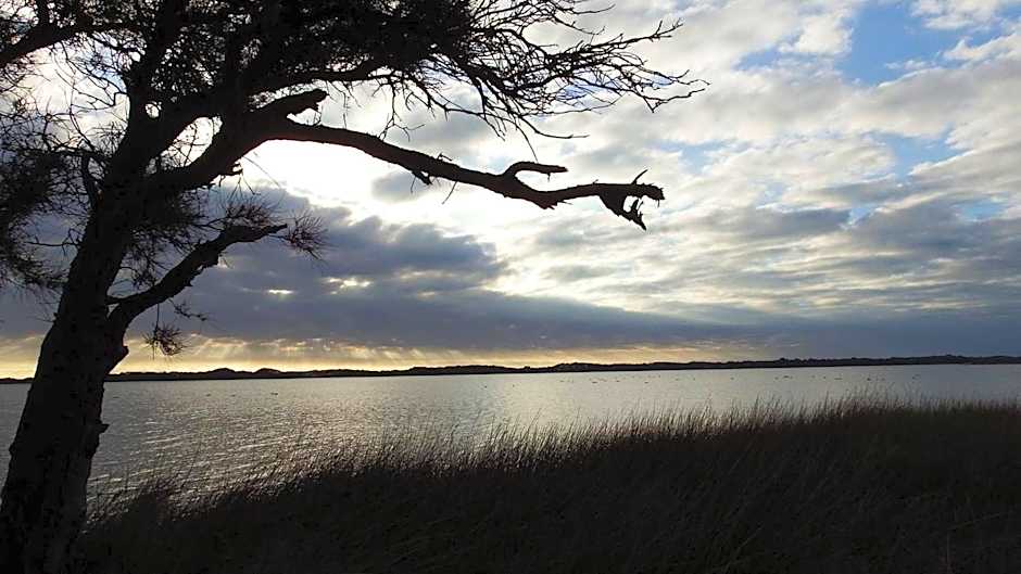 Australind Tourist Park