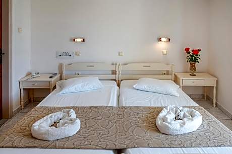 Ground Floor Standard Twin Room