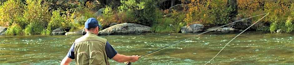 Pines at Meadow Ridge