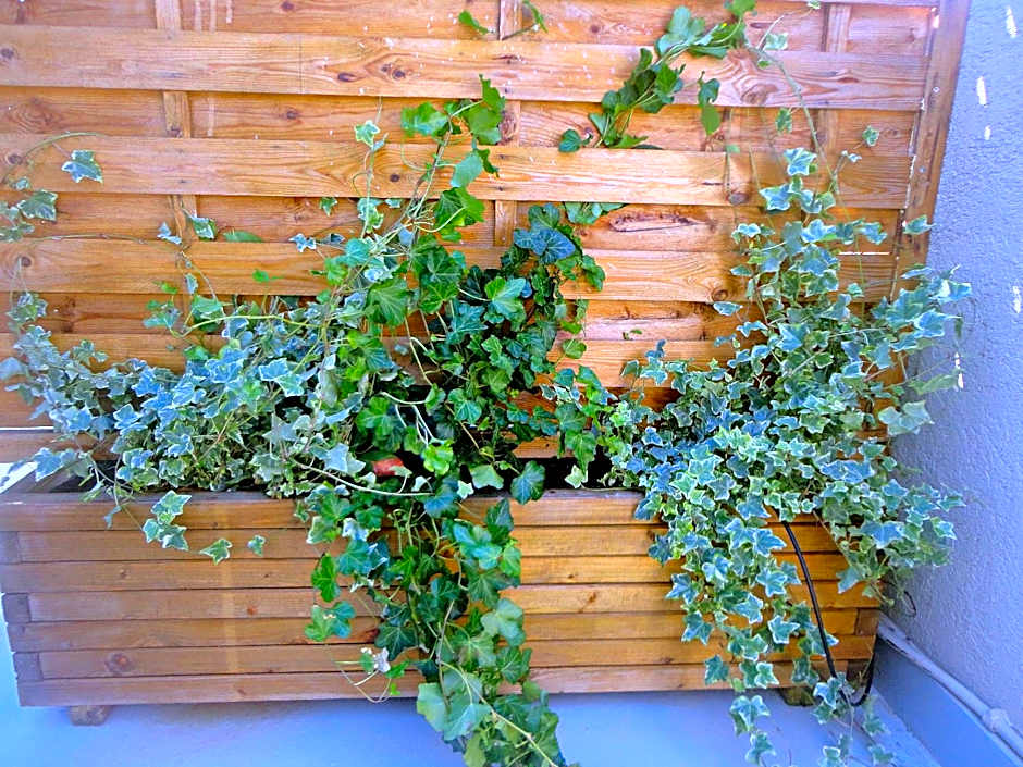 Coco-Mat Hotel Nafsika