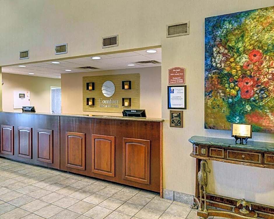 Comfort Inn & Suites Hot Springs Midtown