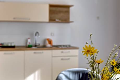 Apartment (2+3)