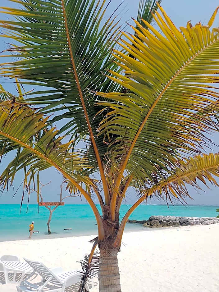 Old Town Inn Maldives