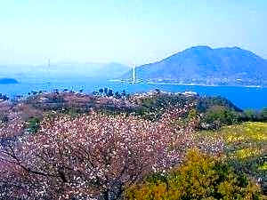 Sarasaya Ryokan