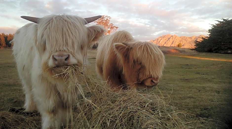 AAA Granary Accommodation