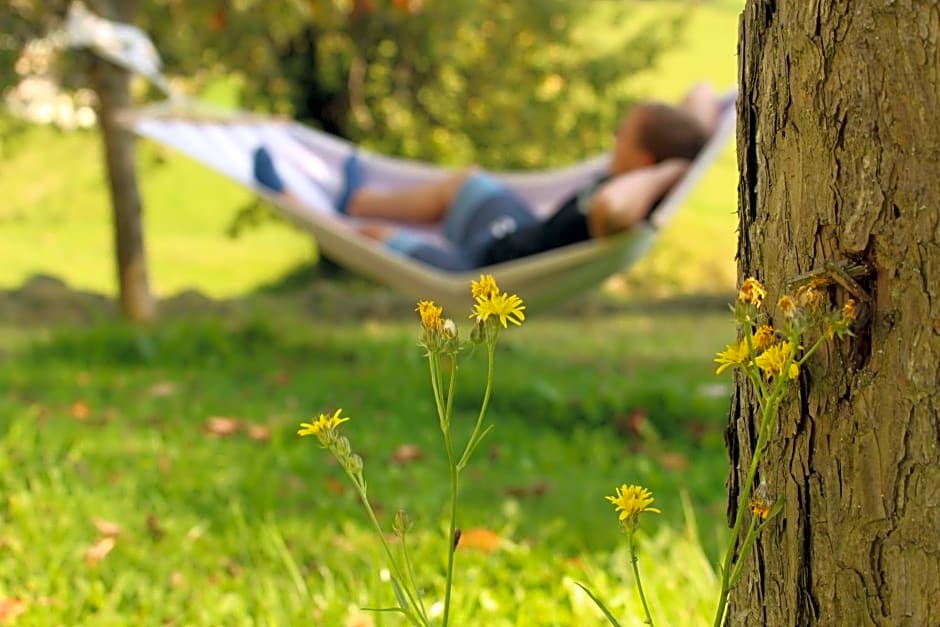 Urlaub am Zechnerhof