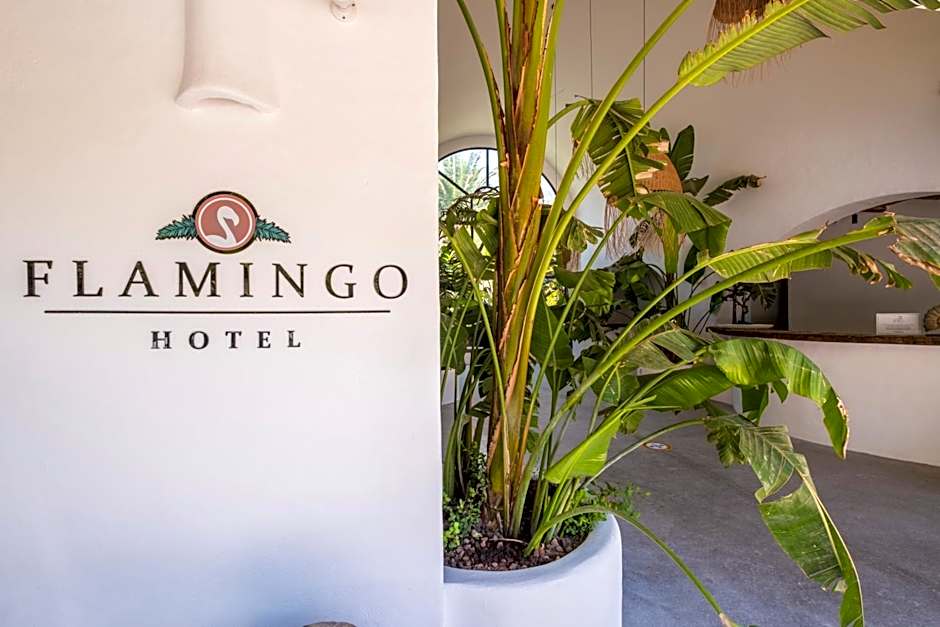 Flamingo Hotel & Spa - Pet Friendly