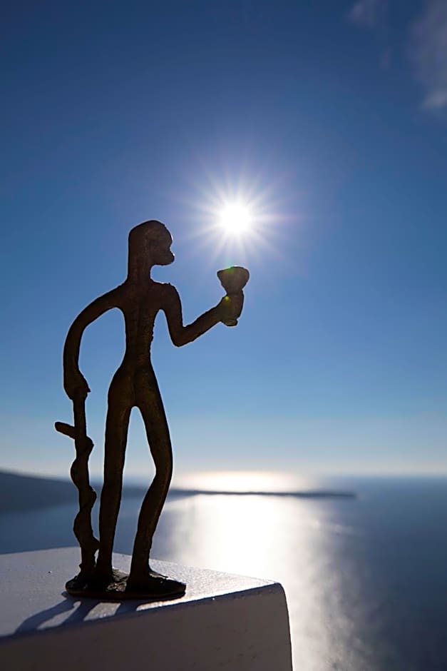 Art Maisons Oia Castle