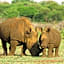 Sable Creek Safari Lodge