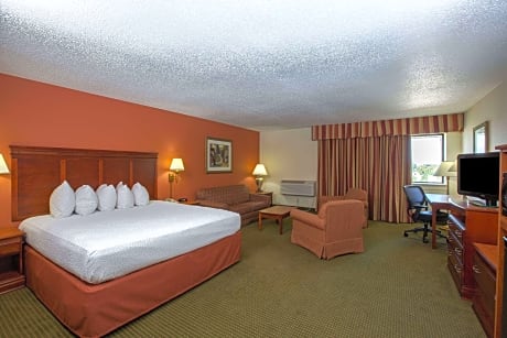 1 King Bed Deluxe Room Non-Smoking