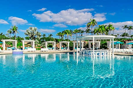 The Coral at Atlantis