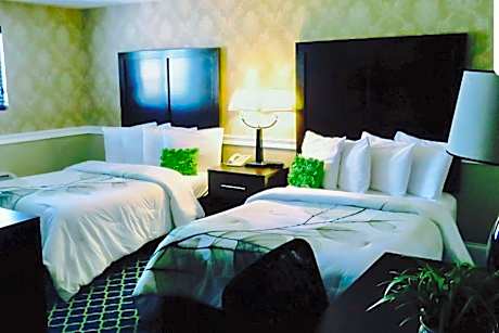 2 Double Beds, Nonsmoking