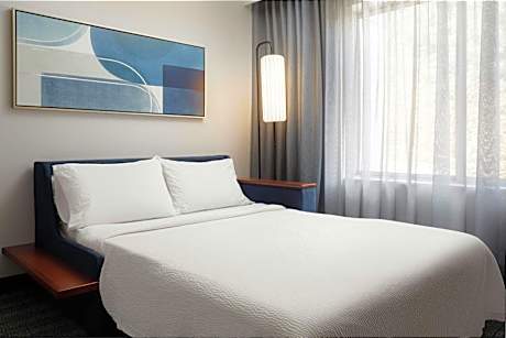 One-Bedroom King Suite