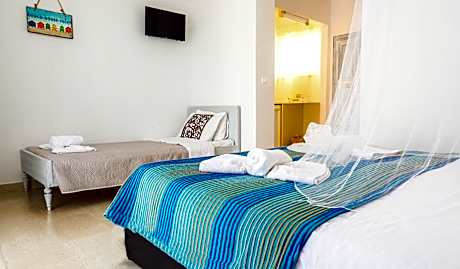 King Room with Garden View