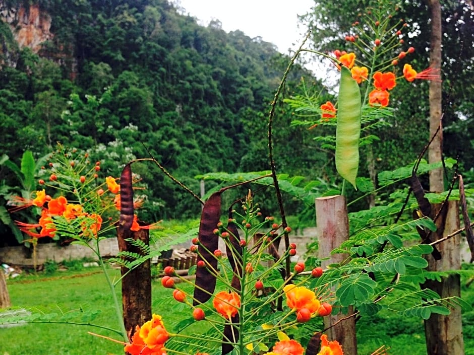 Chiang Dao Hut