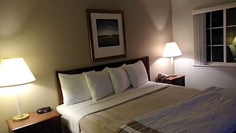 One-Bedroom Suite