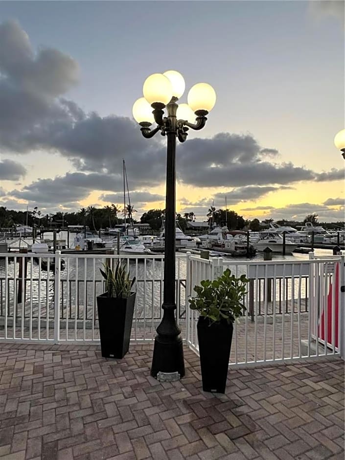 Marina Vibes - Sarasota