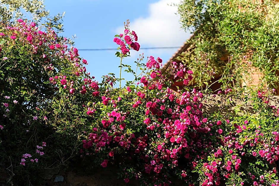 La Cabaña Romantica de Llano