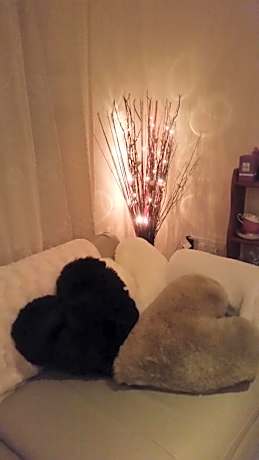 Triple Room with Bathroom