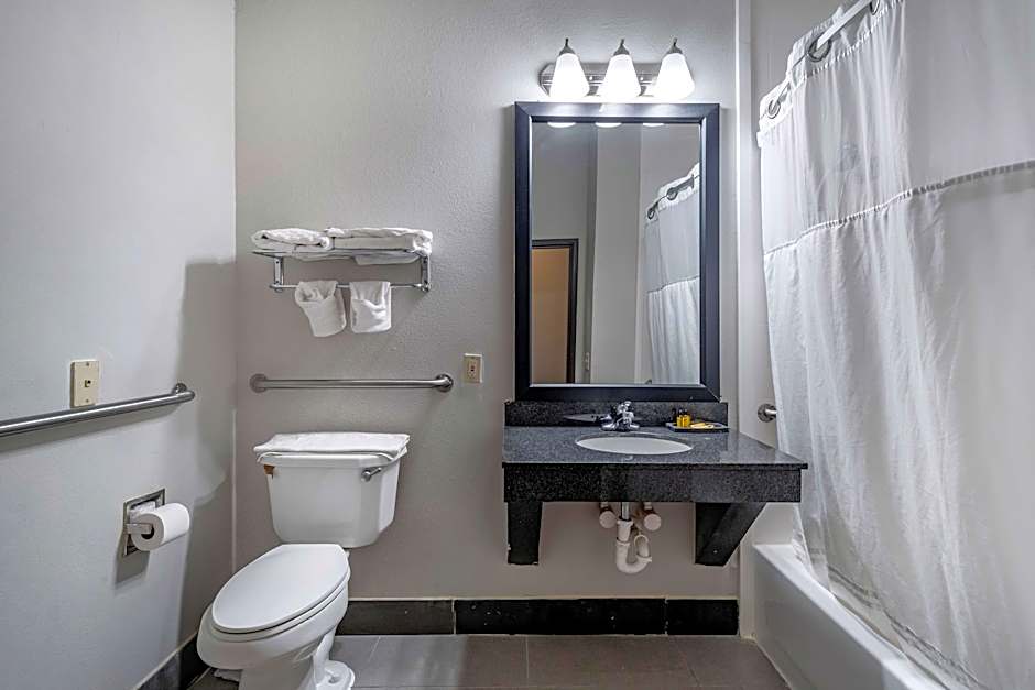 Photo 1 of 4 of 1 King Bed Suite, Hearing/Mobility Accessible, Bathtub