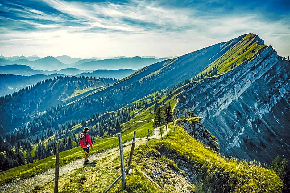 Hotel Alpenkonig