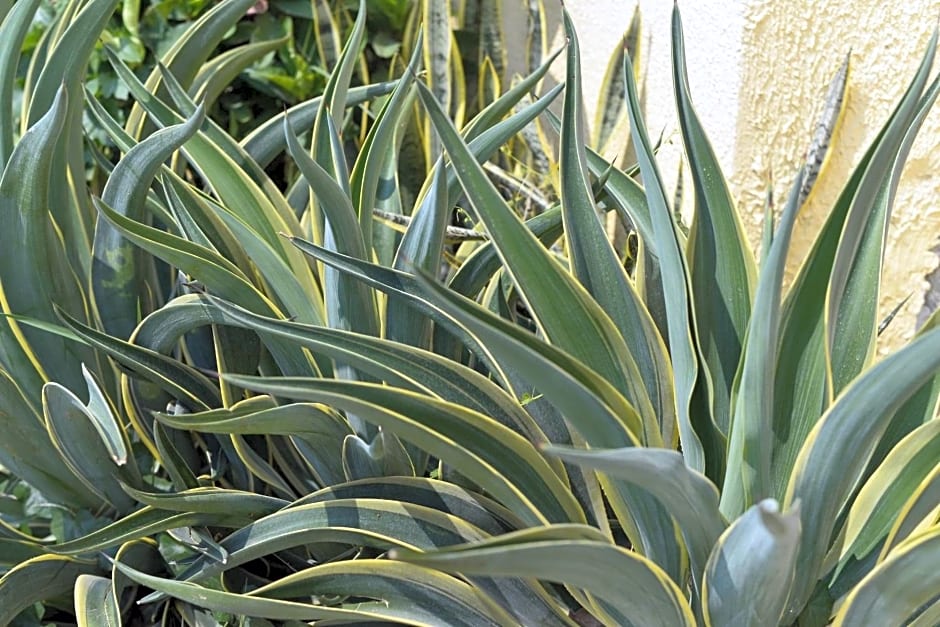 Hostal Casamart, El Rodadero