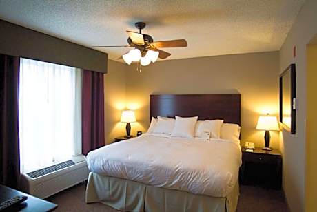 One-Bedroom King Suite - Non-Smoking