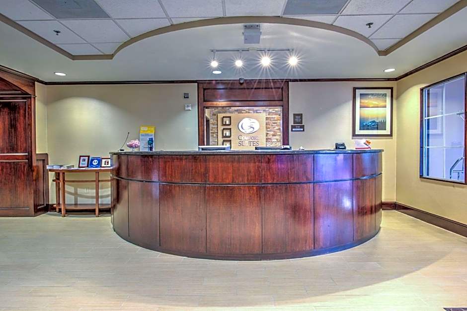 Comfort Suites Tomball Medical Center