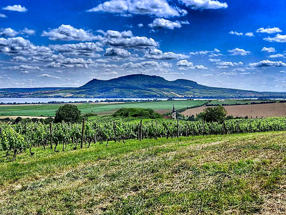 Apartmány s klimatizací - Penzion U Kudláčků Pouzdřany