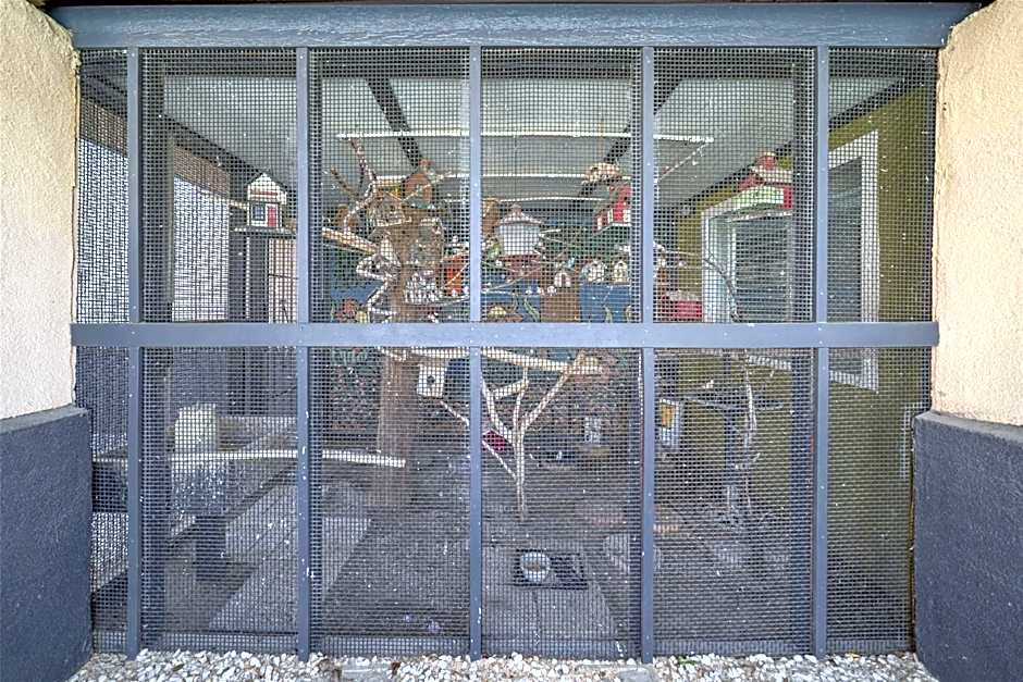 Best Western Antelope Inn