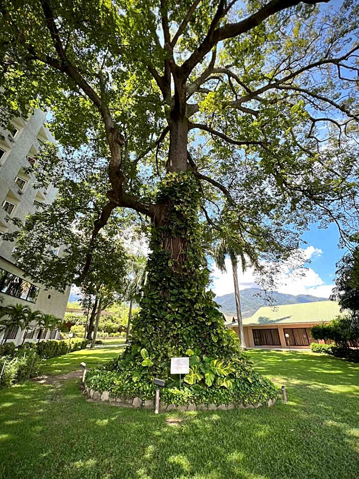 Copantl Hotel & Convention Center