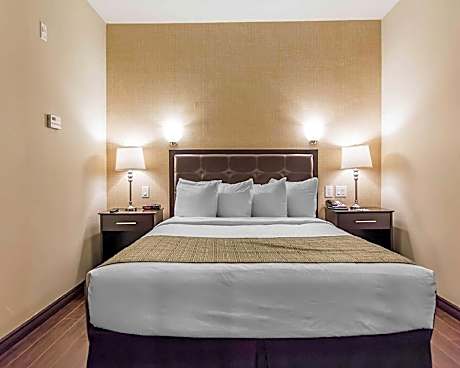 1 Queen Bed - No Smoking