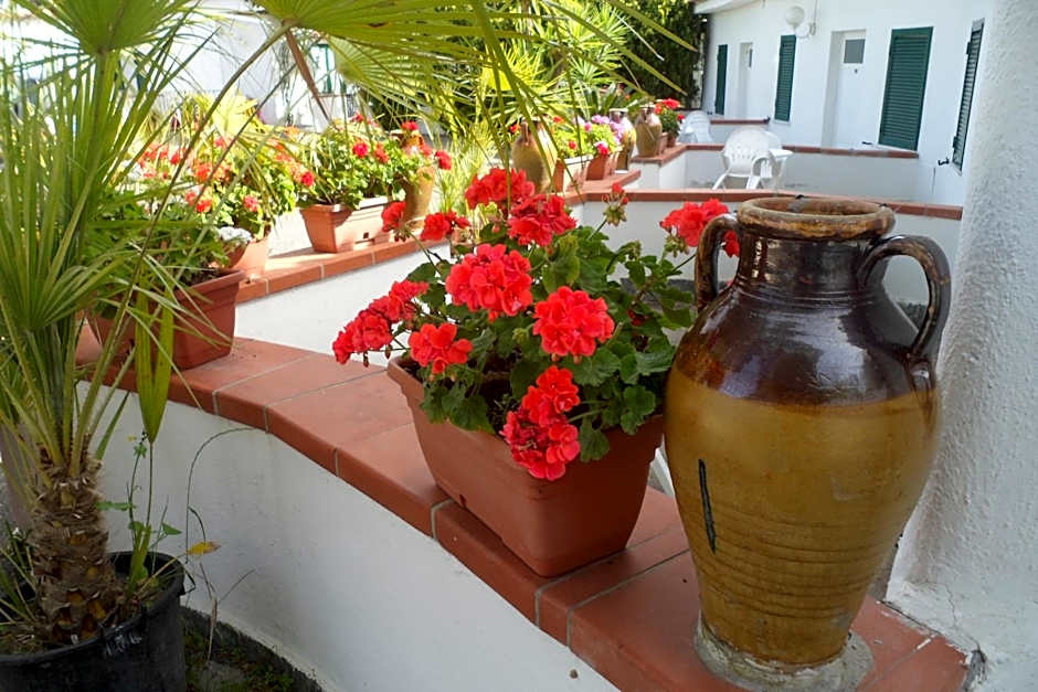 Hotel Park Calitto