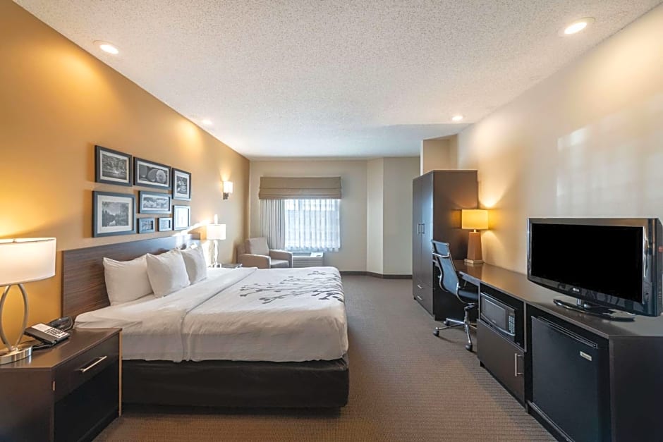 Sleep Inn & Suites Green Bay South