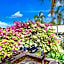 Collection O Bali near Sanur Beach formerly Akarsa Transit