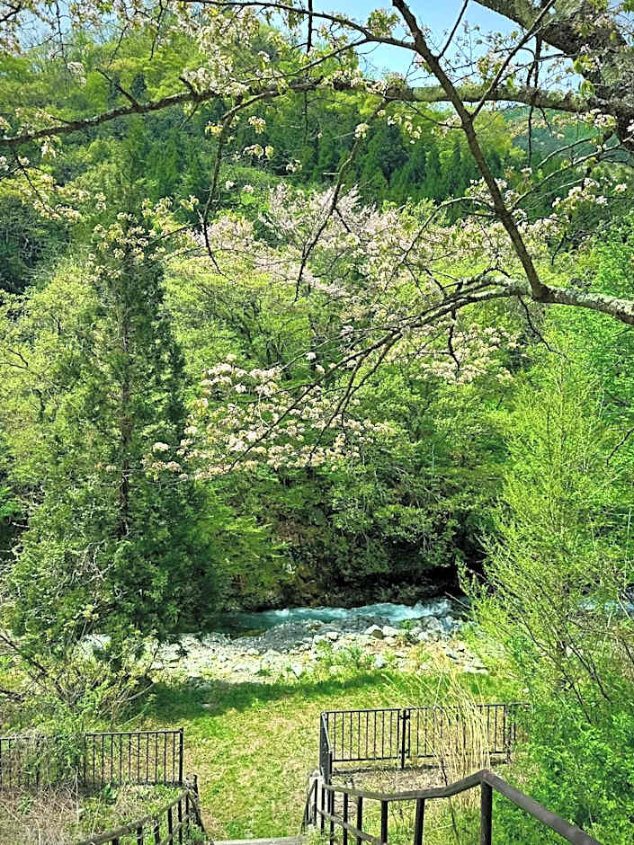 Mominoki Lodgeモミの木ロッジ