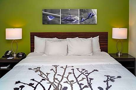 King Suite - Accessible/Non-Smoking