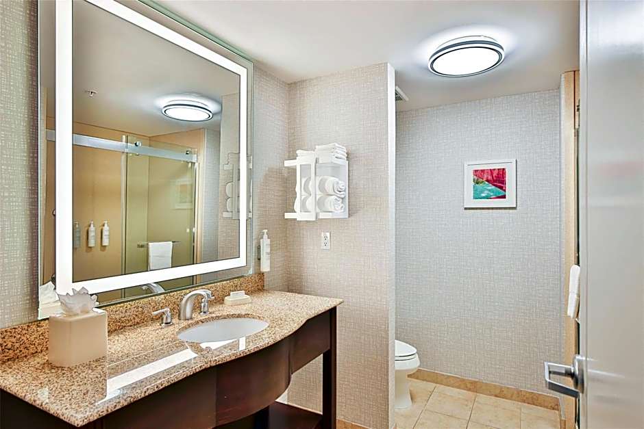 Hampton Inn By Hilton And Suites Seattle Kent