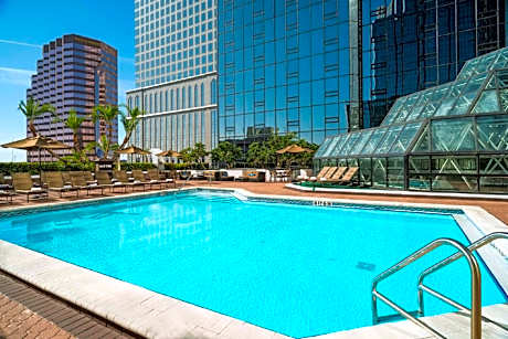 Hilton Tampa Downtown