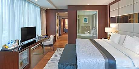 Comfort Suite with King Size Bed