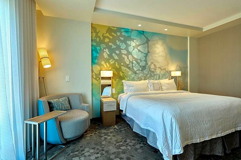 Photo 1 of 3 of 1 King Bed with Sofabed